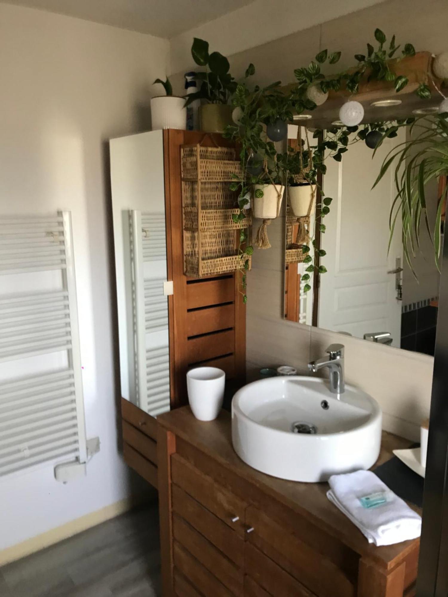 Apartment Cote Rive, Au Bord De La Riviere La Moselotte Et Terrasse Saulxures-sur-Moselotte